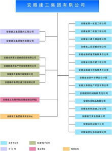 安徽都有哪些公司 集团